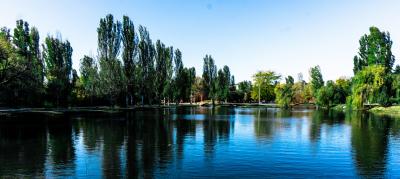 Прикрепленное изображение: DSC00955-3.jpg